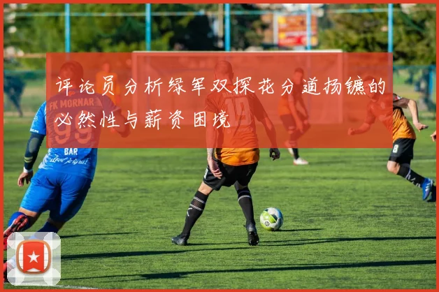 评论员分析绿军双探花分道扬镳的必然性与薪资困境
