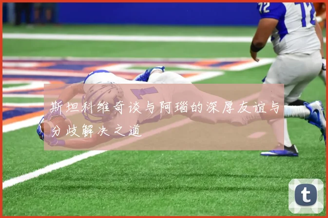 斯坦科维奇谈与阿瑙的深厚友谊与分歧解决之道